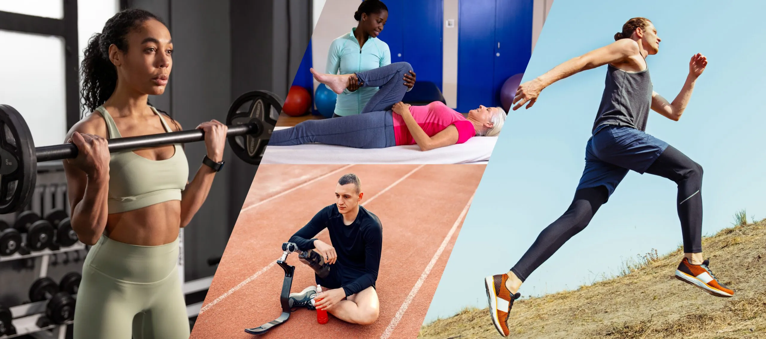 The Importance of Movement for Long-Term Wellness